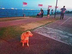 -珍宝海鲜(东海岸海鲜中心)