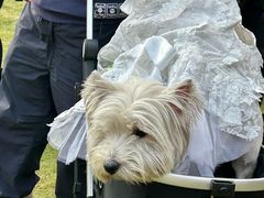 -上海神旺大酒店