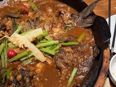 -老板恋上鱼(恒隆广场店)