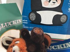 -瑞幸咖啡(巴黎春天陕西路店)