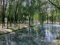 -长白岛森林公园