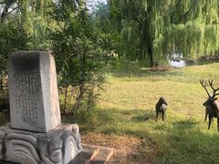 -北京麋鹿生态实验中心
