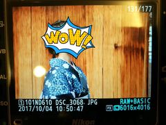 -樱京和服租赁体验(京都总店)