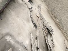 -金沙遗址博物馆