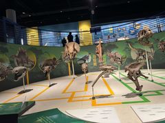 -国家自然博物馆