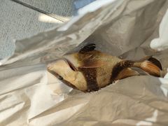 -霞涌市场海鲜摆卖区