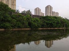 -前关湿地公园