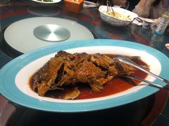 葱烧黄河鱼-九十九顶毡房(阜石路店)