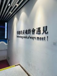 -神奇动物撸宠馆·羊驼·小浣熊·异宠(豫园店)