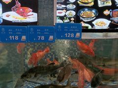 -寻味顺德·珍之宝酒楼(银钻店)