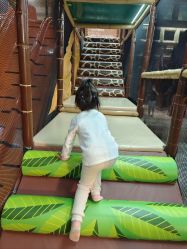 -卡通尼·Safari非洲探索乐园·生日会(金桥国际商业广场店)