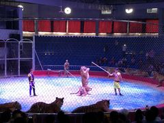 -西安秦岭野生动物园