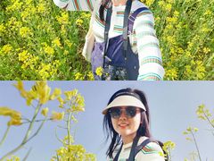 -汉长安城未央宫国家考古遗址公园