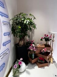 -名媛颜蕙·LPG官方旗舰店