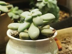 -暖忆烘焙甜品