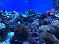 -成都浩海立方海洋公园