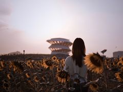 -光明小镇欢乐田园