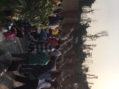 -枫香湖儿童公园