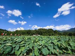 -古田会议纪念馆