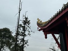 -青城山