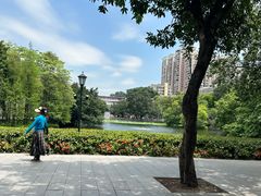 -荔湾湖公园