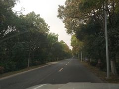 -上海都市菜园