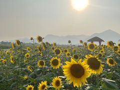 -杭州灵山景区