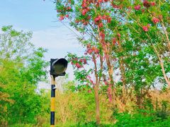 -西青郊野公园
