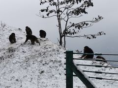 -太阳湾风景区