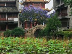 -龙潭水乡