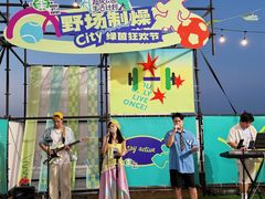 -野狸岛