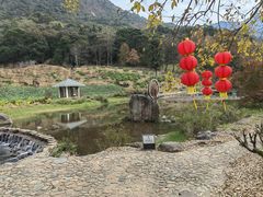 -广州市石门国家森林公园
