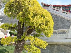 -西海子公园