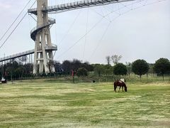 -武汉紫薇都市田园