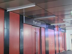 -有家生煎(三里屯店)