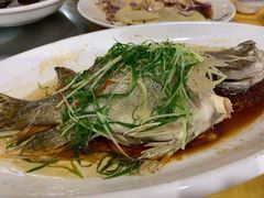 -区海鸡场饭店(石壁店)