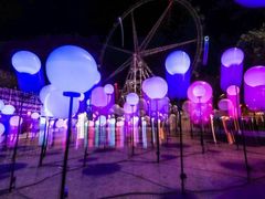 -锦江乐园舞狸花花游园会(夜场专享)