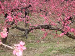 -象头山国家级自然保护区