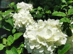 -白塘生态植物园