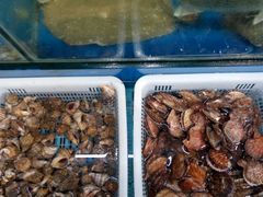 -日照大牌檔•小船海鲜(万平口店)