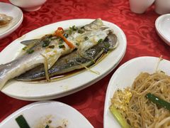 -蛇口康乐快餐鱼仔档(翠苑小区店)