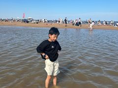 -日照海滨国家森林公园