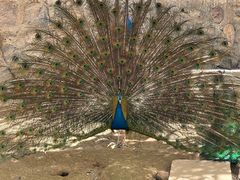 -洛阳马蹄泉旅游度假村