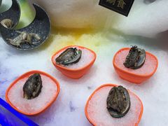 新鲜活鲍鱼-海玥荟海鲜姿造自助餐厅(欧罗巴广场店)