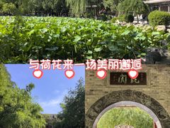 -莲池书院博物馆