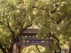 -北京国子监胡同