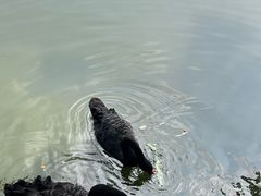 -珠海圆明新园