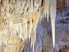 -怀托摩萤火虫洞