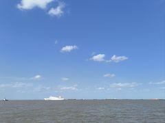 -上海滨江森林公园