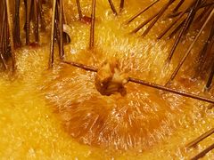 -马路边边串串香(双井直营店)